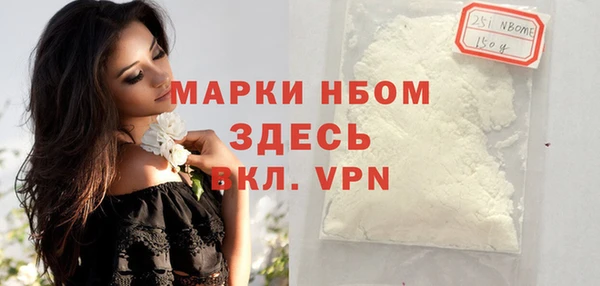 индика Аркадак