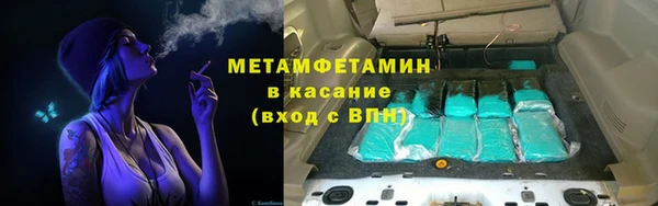 индика Аркадак