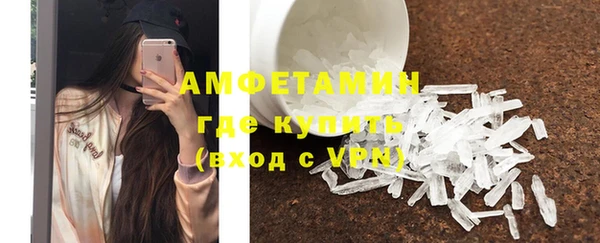 индика Аркадак