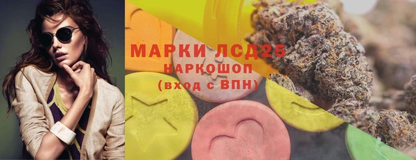 индика Аркадак