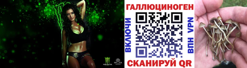 omg ССЫЛКА  Чебаркуль  Псилоцибиновые грибы MAGIC MUSHROOMS 